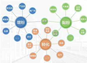 淘寶托管店鋪如何以產(chǎn)品差異化驅(qū)動(dòng)軟件開發(fā)與銷售增長