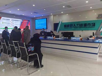 桐梓縣 以專業咨詢服務為引擎，筑牢“穩就業”“保就業”基石，驅動經濟社會高質量發展